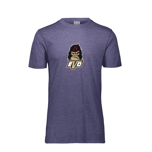 [3065-6310-RYL-AS-LOGO2] Men's Ultra-blend T-Shirt (Adult S, Royal, Logo 2)