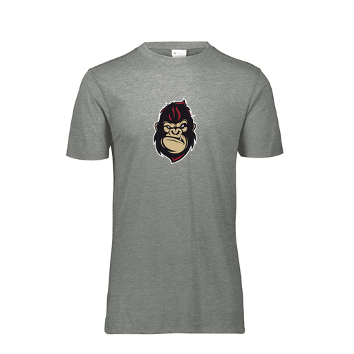 [FTSCUBGY-YS-LOGO3] Decker Youth Tri-Blend T-Shirt - Short Sleeve (Youth S, Gray, Logo 3)