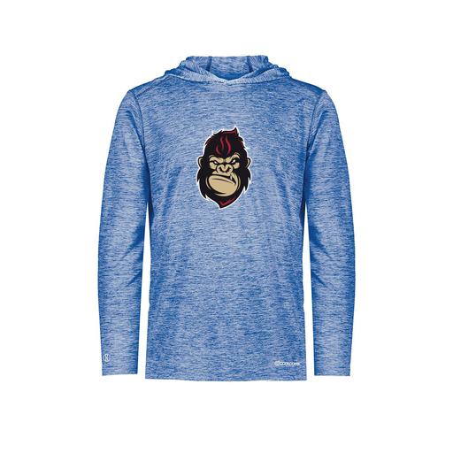 [FOLHCGRY-AS-LOGO3] Decker Men's Charge Hoodie (Adult S, Royal, Logo 3)