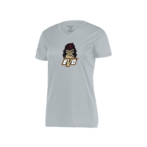 [222820.099.S-LOGO2] Ladies Movement Dri Fit Shirt (Female Adult S, Silver, Logo 2)